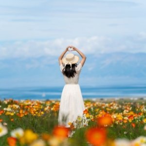 Regresando a la libertad